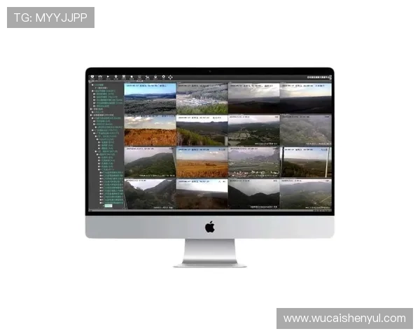 深入讲解视讯下载流程，让你轻松应对不同视频网站的下载难题